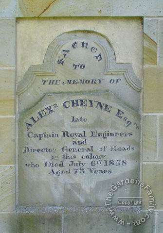 CHEYENE, Alexander